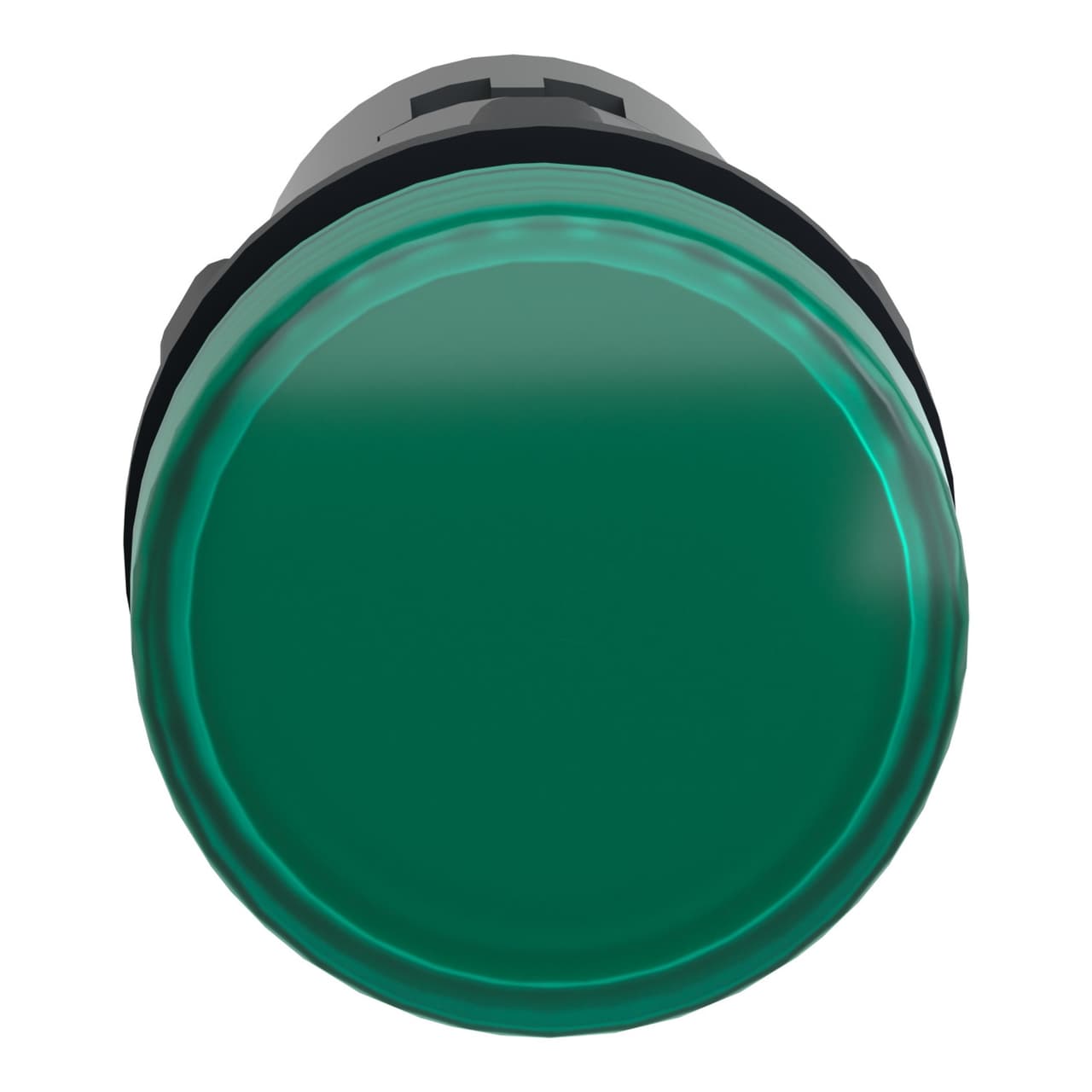 Schneider XA2EVM3LC Harmony | Round pilot light Ø 22 – green – integral LED – 220 V AC – screw clamp terminals